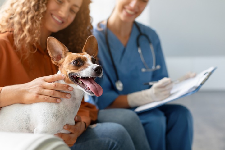 How Pet Wellness Exams Can Improve Their Quality of Life